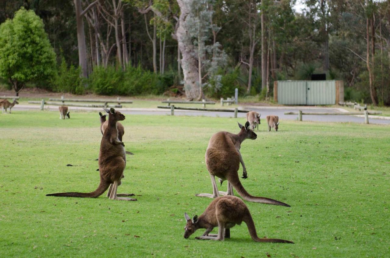 Yanchep Seaside Cottage ภายนอก รูปภาพ
